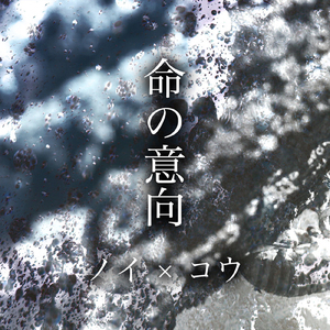 国产小学生伦理网站大全
