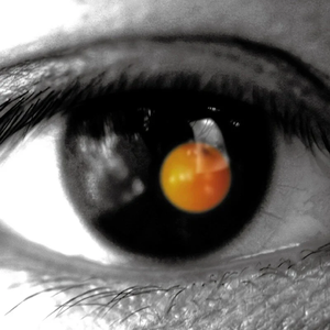 国产小学生伦理网站大全
