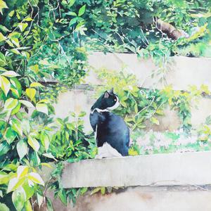 国产小学生伦理网站大全
